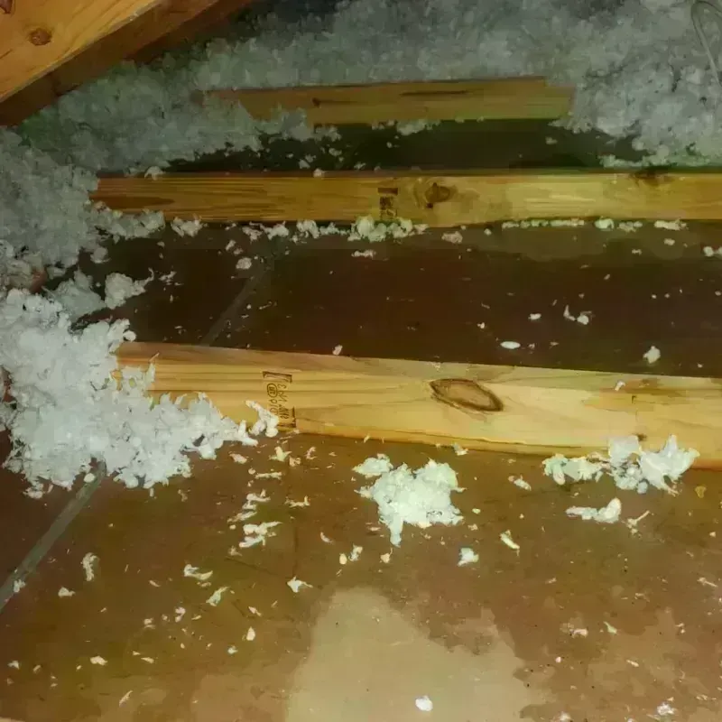 Attic Water Damage in Sumner, WA