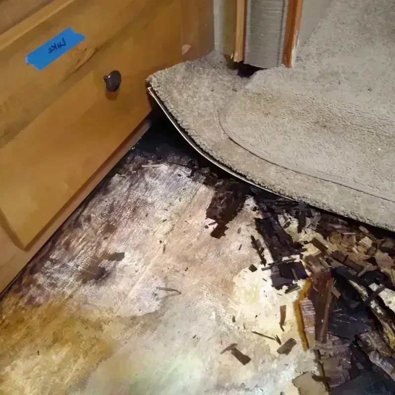 Wood Floor Water Damage in Sumner, WA